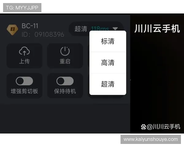 开云线上手机版：开云线上手机版的主要功能与使用技巧详解