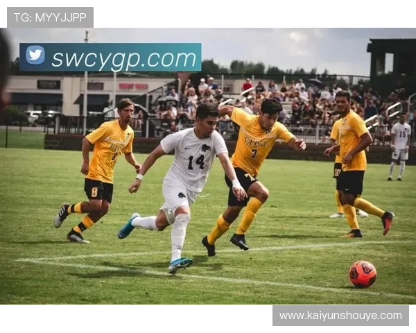 开云电竞网址官方入口,畅享高清赛事直播与丰富的电竞资讯 开云电竞网址官方入口,畅享高清赛事直播与丰富的电竞资讯