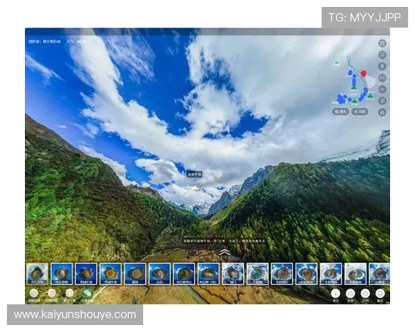 开云官方网官网用户评价与真实体验分享平台介绍